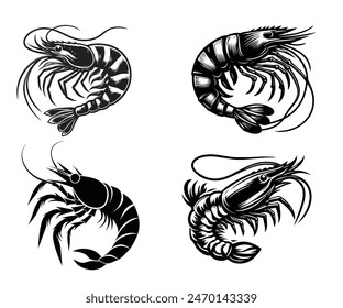 set of shrimp vector ,illustration