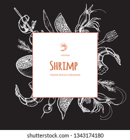 Set of shrimps. Hand drawn illustrations.Seafood concept on white background. Hand drawn boil prawn or shrimp. Background template for design. Can be use for menu, packaging.