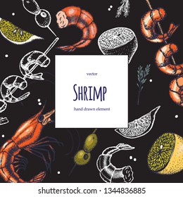 Set of shrimps. Hand drawn illustrations.Seafood concept on white background. Hand drawn boil prawn or shrimp. Background template for design. Can be use for menu, packaging.