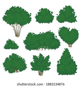 Set of shrubs with lush green foliage in various shapes isolated on a white background. Vector illustration. Summer icon.