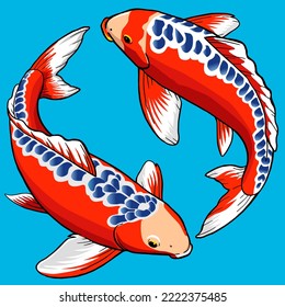 Set of Shushui Koi fish for premium pack