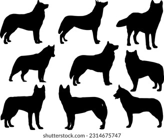 Set of Siberian Husky Silhouette, Wild Animal