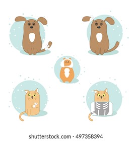 Set of sick pets - a puppy with a sore tail, a dog with a sore ear, a hamster with an aching tooth, a kitten with a sore paw, a cat in a x-ray machine. Vector illustration.