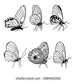 Set of side view butterflies silhouettes, monochrome style butterfly for tattoo, logo, card design vector illustration