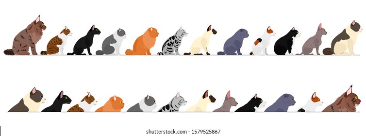 set of  side view cats border