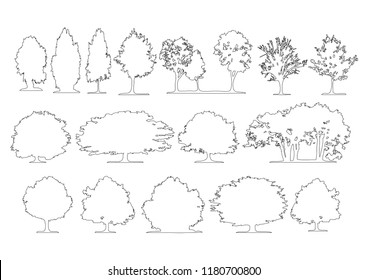 Set of side view graphics trees elements outline symbol for architecture and landscape design drawing. Vector illustration