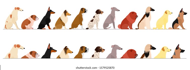 set of  side view large dogs border