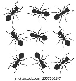 Set of silhouette of ant colony. bug animal design vector illustration isolated on white background