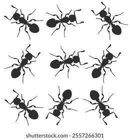 Set of silhouette of ant colony. bug animal design vector illustration isolated on white background