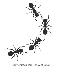 Set of silhouette of ant colony. bug animal design vector illustration isolated on white background