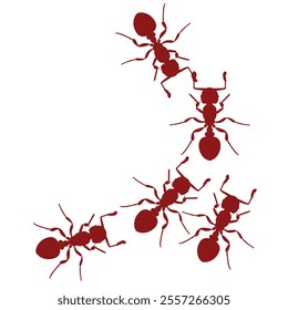 Set of silhouette of ant colony. bug animal design vector illustration isolated on white background