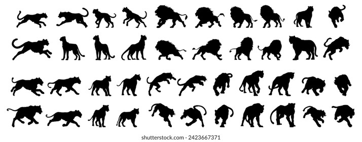 set of silhouette of big cats. tiger, lion, lioness, jaguar, cheetah, puma, panthera. isolated on transparent background.