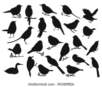 Set of a silhouette birds