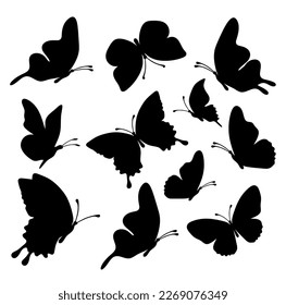 Set of silhouette black butterflies on white background. Vector