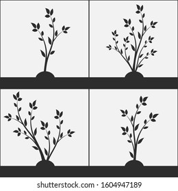 Set of silhouette of a branch with leaves. Young tree. 