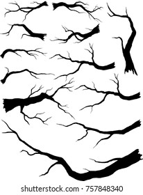 Set of silhouette branches