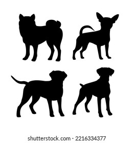 Set of silhouette of breed dog. Isolated black silhouette of boxer, labrador, chihuahua, shiba inu on white background.