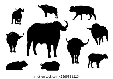 Plantilla de diseño de vector de búfalos de silueta