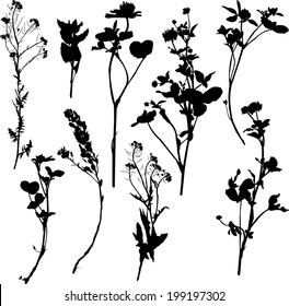 Set of silhouette by herbs and flowers, hand drawn vector illustration