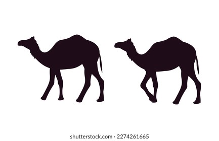 Satz von Silhouettenkameln. Vektorgrafik.
