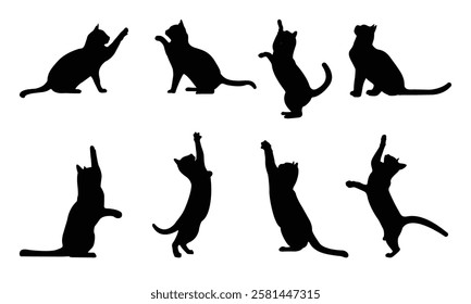 Set of silhouette cats in different poses. Isolated black cat on white background. Vector illustration of elements for design decoration.