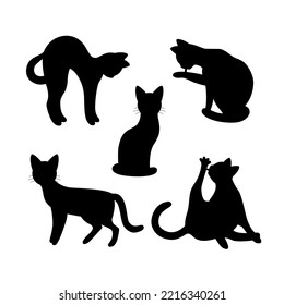 Set of silhouette of cats. Isolated black silhouette of standing, sitting, washing, playing cat on white background.