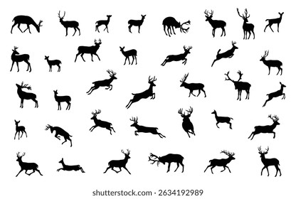 Set of silhouette collection of deer in different poses, isolated on background. Vector illustration.