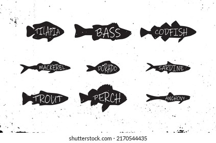 Set of silhouette of commercial fish. Collection of fresh raw edible cartoon fish with title. Object for packaging, labels, menus. Vector illustration.