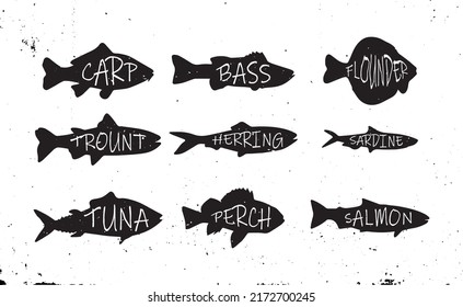 Set of silhouette of commercial fish. Collection of fresh raw edible cartoon fish with title. Object for packaging, labels, menus. Vector illustration.