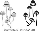 Set of silhouette and contour, artistically drawn, hallucinogenic mushrooms Psilobe cubensis on  white background. Mushrooms toadstools.