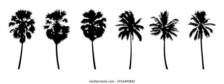 Set of silhouette design of palm trees with black color on isolation style for graphic designer,vector illustration