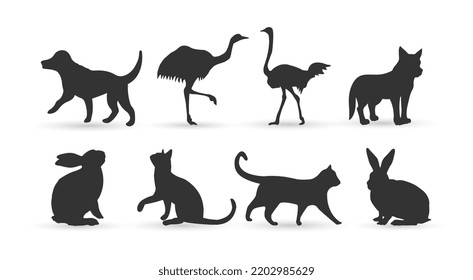 Silhouetten von Haustieren, Katzen, Hunden, Kaninchen, Strauß