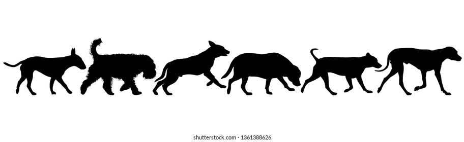 Set silhouette dog on a white background