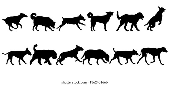 Set silhouette dog on a white background