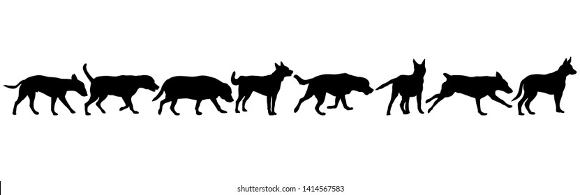 Set silhouette dog on a white background