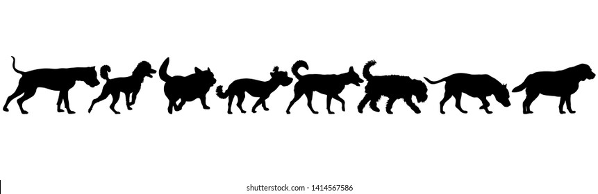 Set silhouette dog on a white background