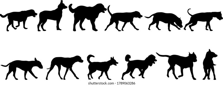 Set silhouette dog on a white background