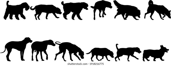 Set silhouette dog on a white background