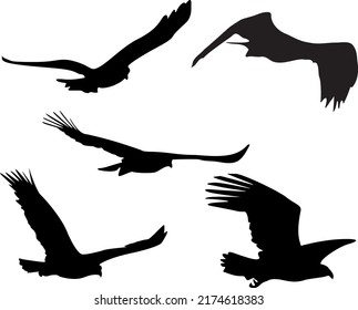Set of Silhouette Eagles Flying in different poaitions. An EPS file ready to be downloaded and worked with.