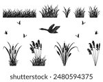 Set of silhouette elements of reeds and marsh grass. Simple vector illustration of swamp vegetation. Shadow of a mallard duck and duck