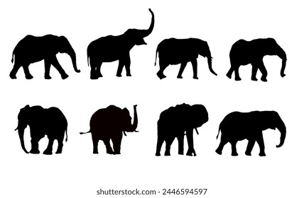 Set of silhouette of elephant, elephants - vector illustration