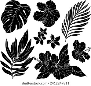 Conjunto de silueta de flores tropicales exóticas y hojas. Hibiscus, palmera. Ilustración vectorial.