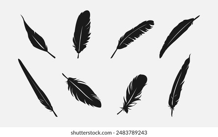 Conjunto silueta de plumas. Aislado sobre fondo blanco. Ilustración vectorial.