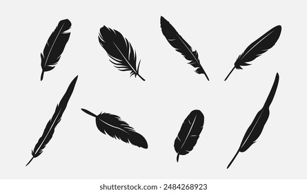 Set silhouette of feathers. Isolated on white background. Vector illustration.