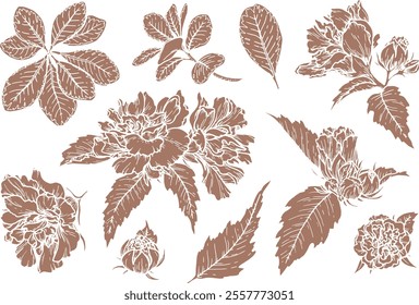 Set of silhouette floral vector illustration in the 2025 color of the year Mocha Mousse. Hand drawn botanical elements with brown tone. Perfect for creating trendy graphic resource and design.