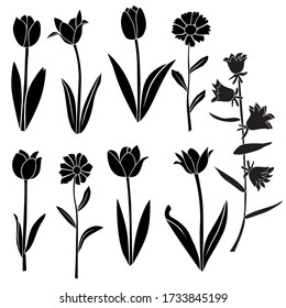 Set of silhouette flowers  chamomile, daisy, Tulip, campanula, spring-summer forest and garden field flower, black color isolated on a white background  