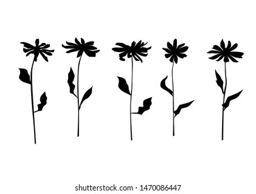 Set of silhouette flowers chrysanthemum, daisy, chamomile,  spring and summer forest and garden field flower, black color isolated on white background