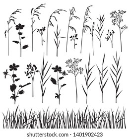 Set of silhouette flowers and grass, spring and summer forest and garden field flowers and grass, black color isolated on white background
