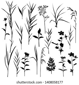 Set of silhouette flowers and grass, spring and summer forest and garden field flowers and grass, black color isolated on white background