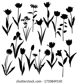 Set of silhouette flowers rose, chamomile, daisy, campanula, iris, Tulip, dandelion, spring-summer forest and garden field flower, black color isolated on a white background  